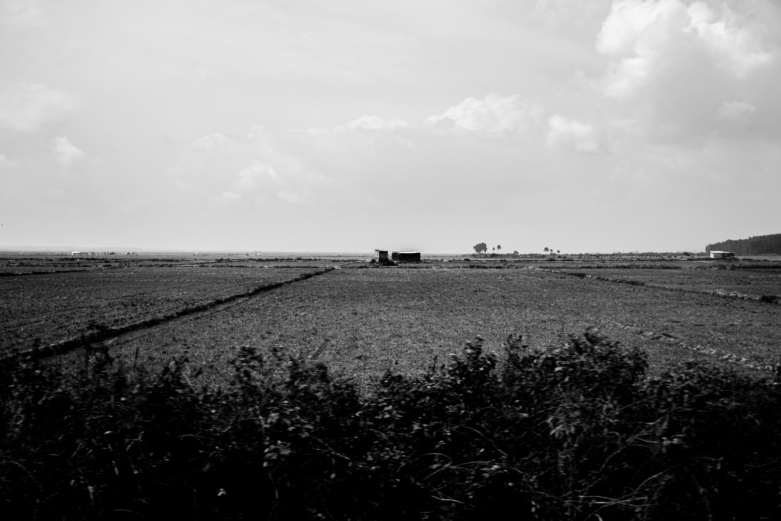 IMG_7030