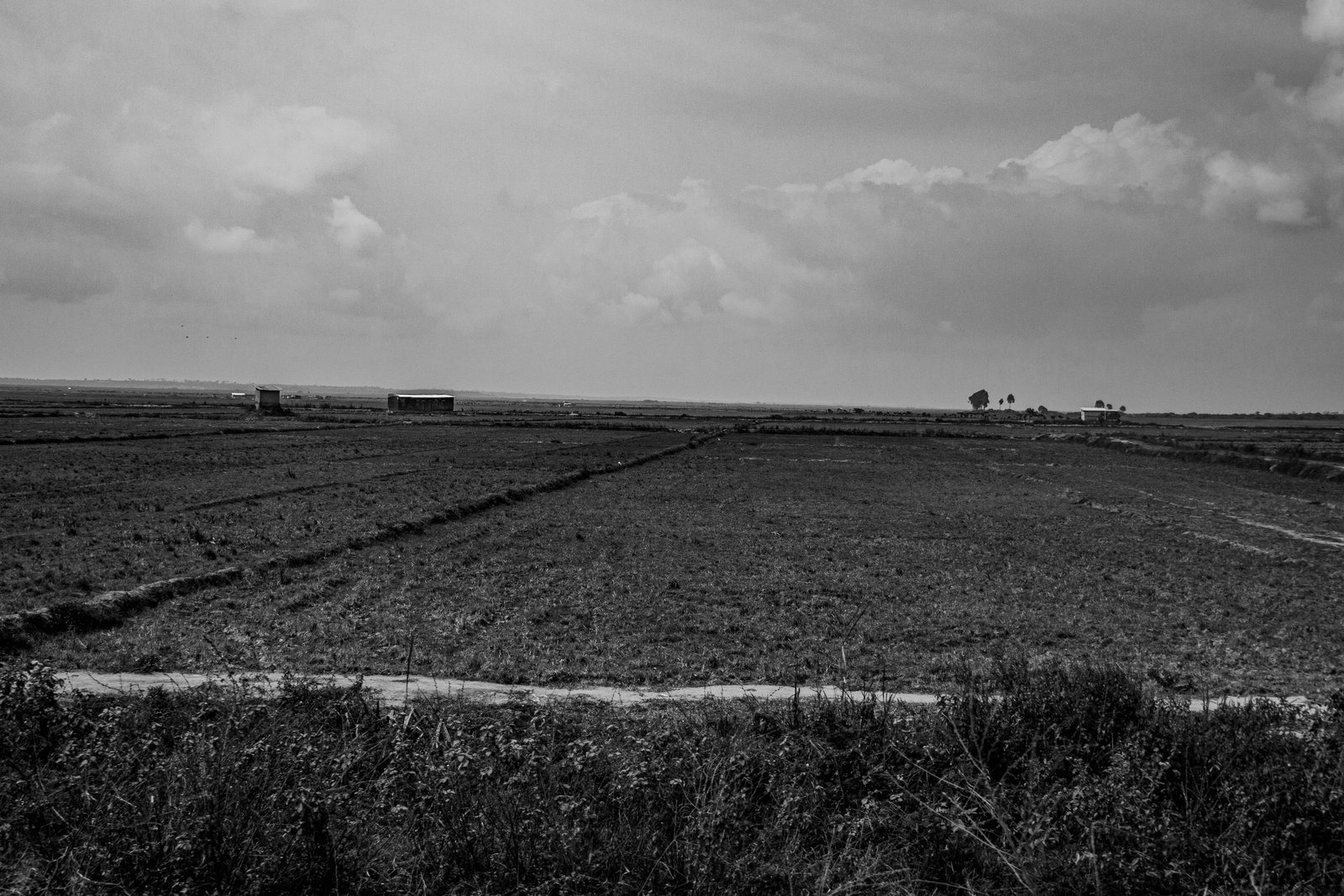 IMG_7031